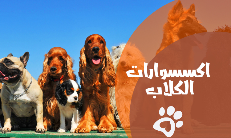 اكسسوارات الكلاب