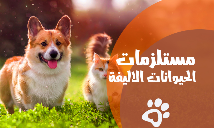 جميع مستلزمات الحيوانات الاليفة في مكان واحد: cairozoo