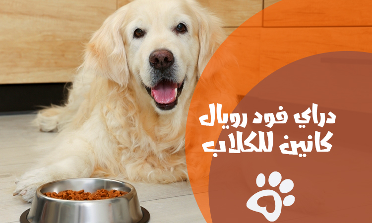 سعر دراي فود رويال كانين للكلاب و أنواعه حسب السلالة والحجم