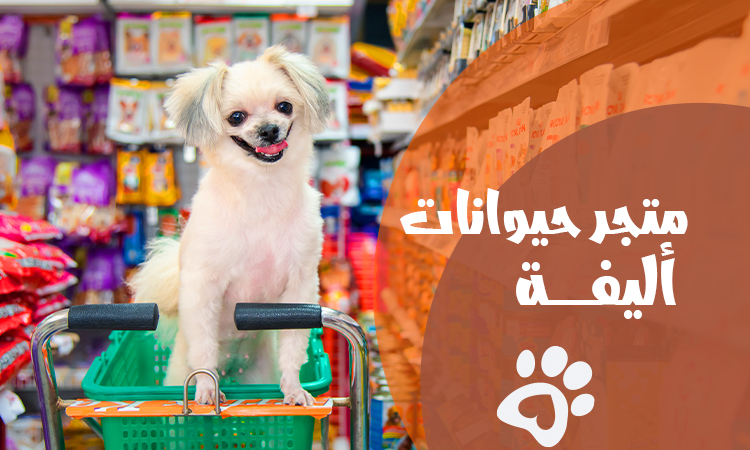 أفضل متجر حيوانات أليفة 2026 : الجودة والتنوع في مكان واحد