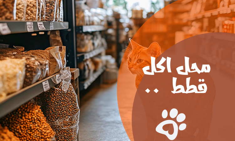 محل اكل قطط متكامل: كل ما تحتاجه قطتك من تغذية في مكان واحد