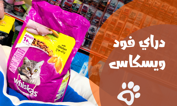 whiskas dry cat food