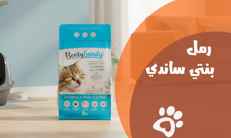 اسعار رمل بنتي ساندي في مصر 2026 | المميزات والاستخدامات