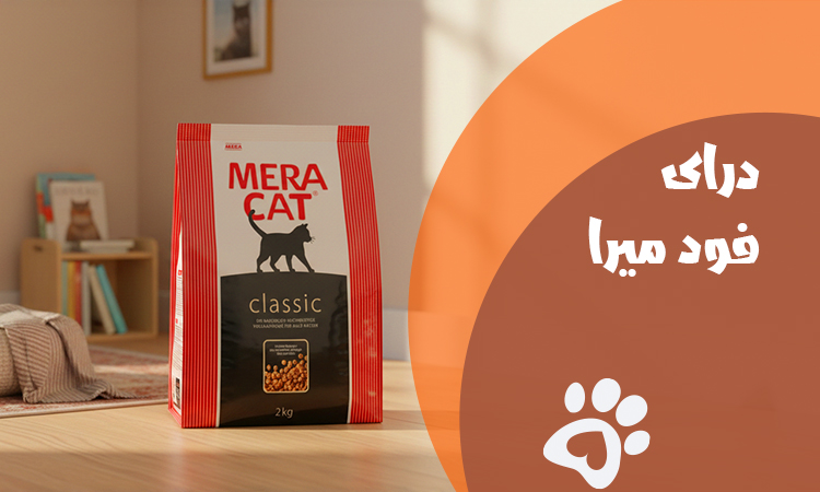 افضل انواع دراى فود ميرا فى مصر 2026 | المميزات والاسعار