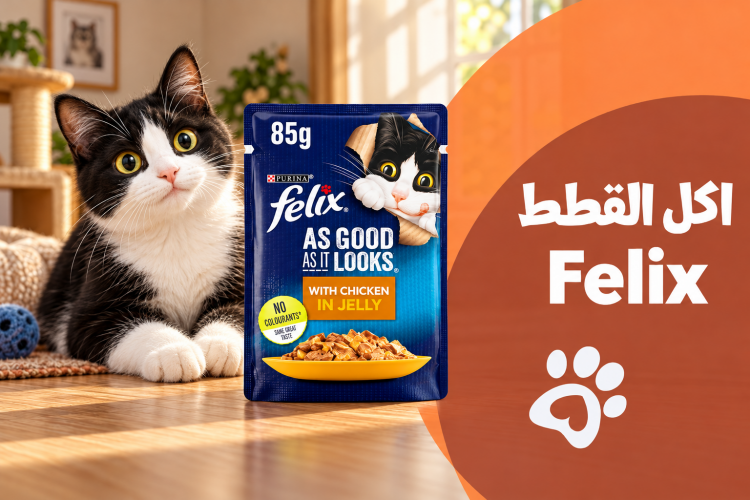 اكل القطط felix: دليل المميزات والأنواع وطريقة اختيار الأفضل