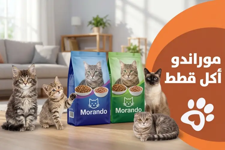 دليلك الشامل لمنتجات موراندو اكل قطط: الغذاء الإيطالي المتكامل لقطتك