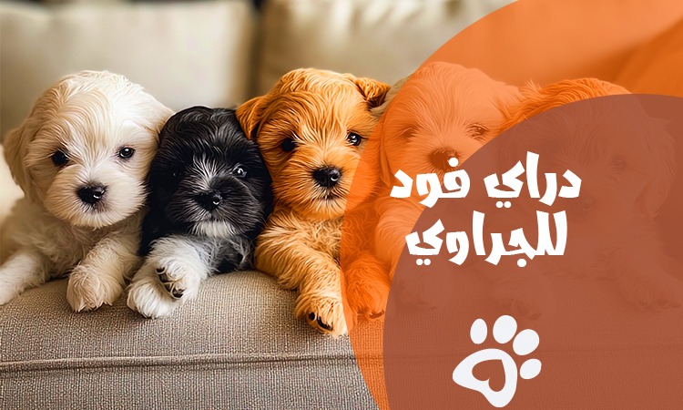 Dry Food for Puppies