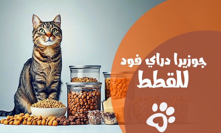 جوزيرا دراي فود للقطط