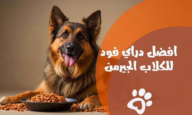 best dry dog food for german shepherds