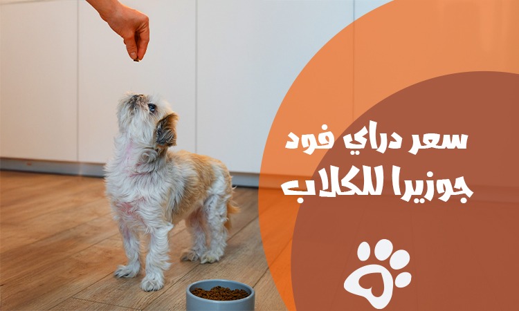 Latest josera dog food price