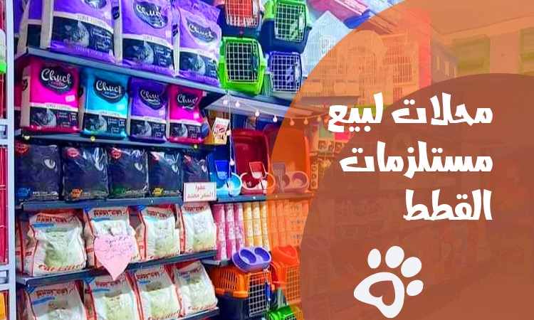 pet stores in egypt