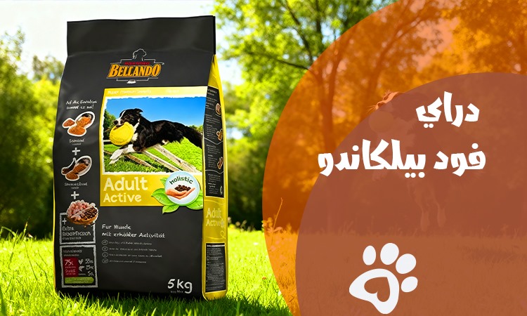 دراي فود بيلكاندو