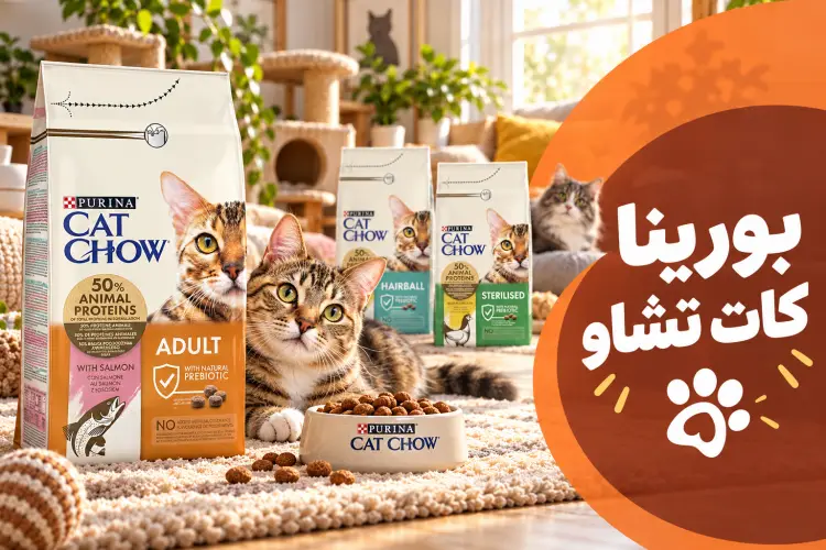 بورينا كات تشاو: المواصفات، الفوائد، وأهم خيارات التغذية